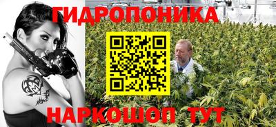 ГАЛЛЮЦИНОГЕННЫЕ ГРИБЫ Новодвинск