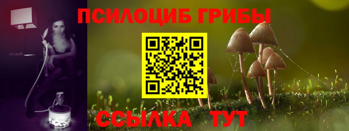 Галлюциногенные грибы MAGIC MUSHROOMS  Вход с VPN  Псилоцибиновые грибы мухоморы  Фролово 