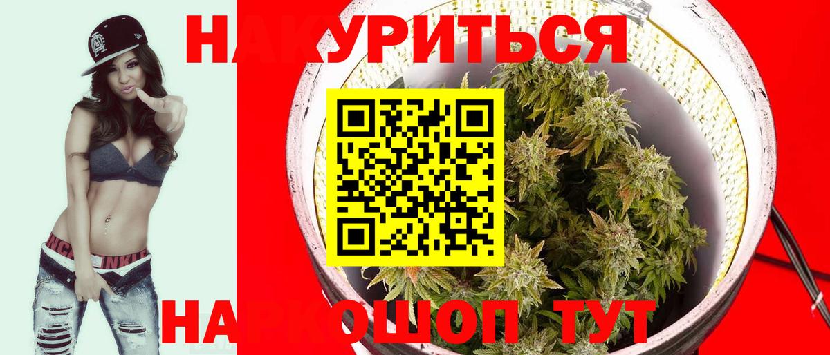 Каннабис гибрид  Фролово  Конопля Amnesia  Канабис MAZAR 